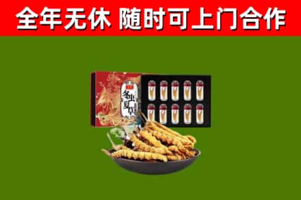 鄂尔多斯回收冬虫夏草价格